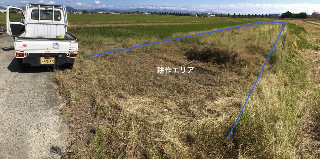 ２−3年放任状態の田んぼの中の畑