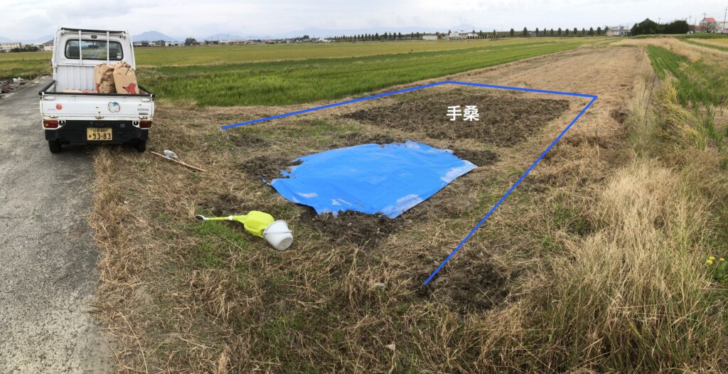 人手が入ってどんどん綺麗になる畑