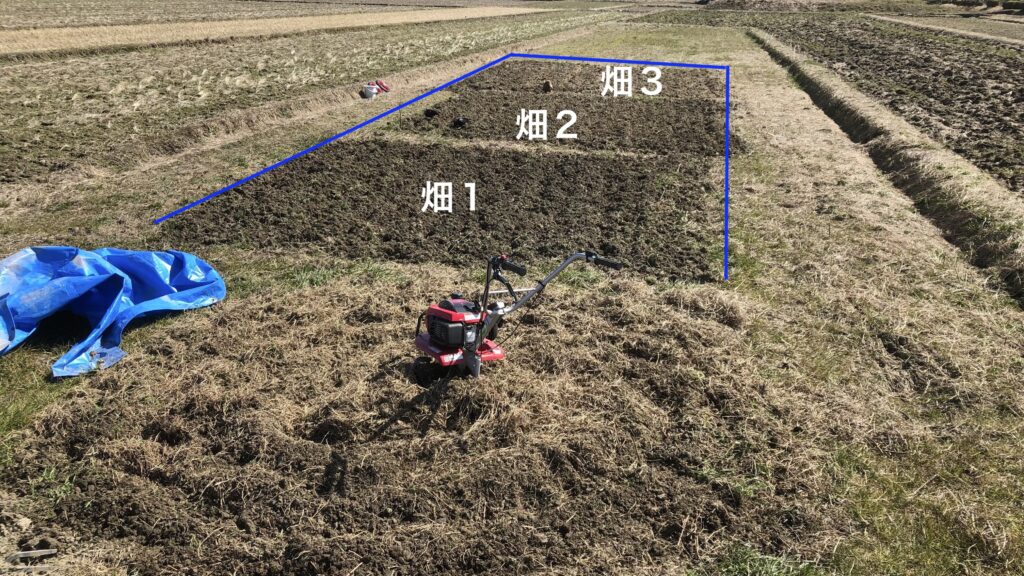 越冬後、切り返してフカフカ土に